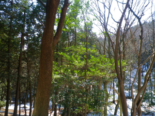 加治丘陵2
