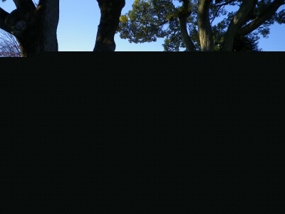 龍圓寺観音堂1